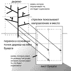 Соотношение объекта для рисования (дерева) и области для рисования на листе бумаги с помощью изменения расстояния между деревом и художником